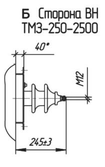ТМЗ 250/6(10)/0,4 У1